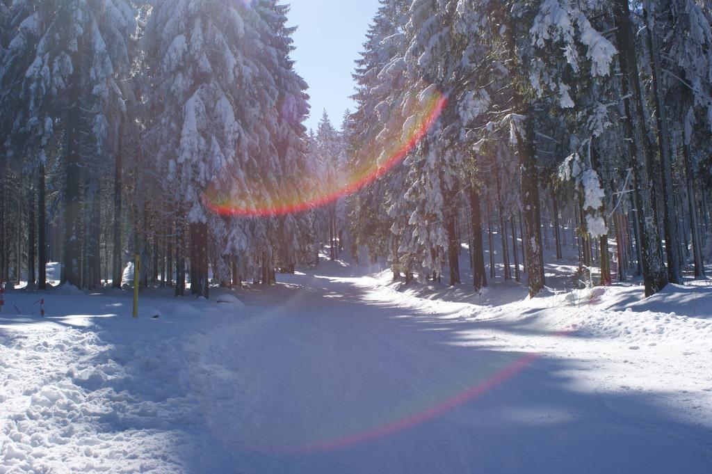 Hotel Haus Oberland Masserberg Luaran gambar